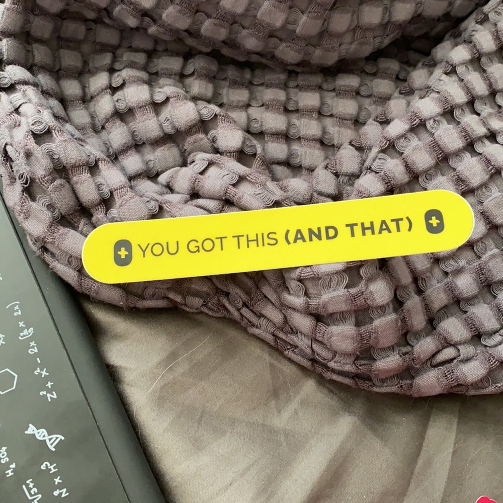 Figs YOU GOT THIS ( AND THAT ) Sticker